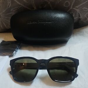 Salvatore Ferragamo Dark Sunglasses with Case